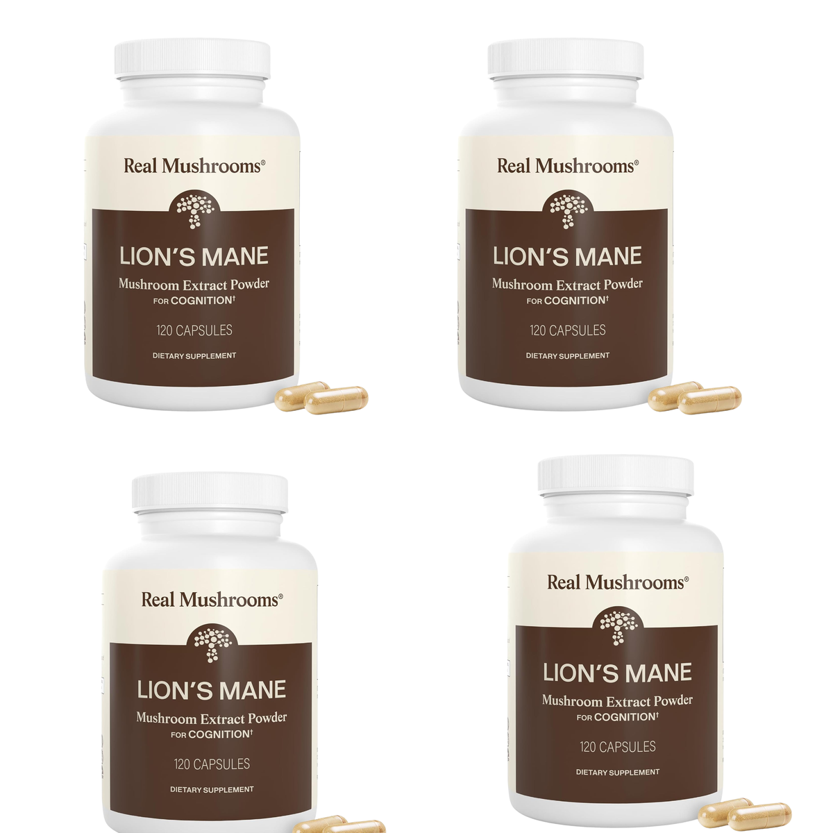 Real Mushrooms Lion's Mane Mushroom Extract Powder for Cognition – 120 Capsules