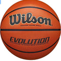 Evolution Game Basketball - 29.5