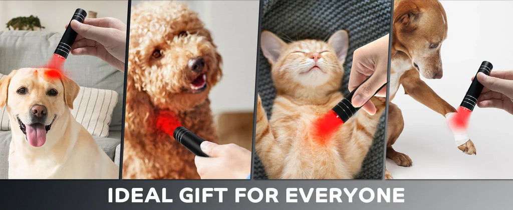 Red Light Therapy Lamp 660nm Red Light & 850nm Infrared Lamp Therapy Torch with Timer Portable LED Small Torch Body Pain Relief