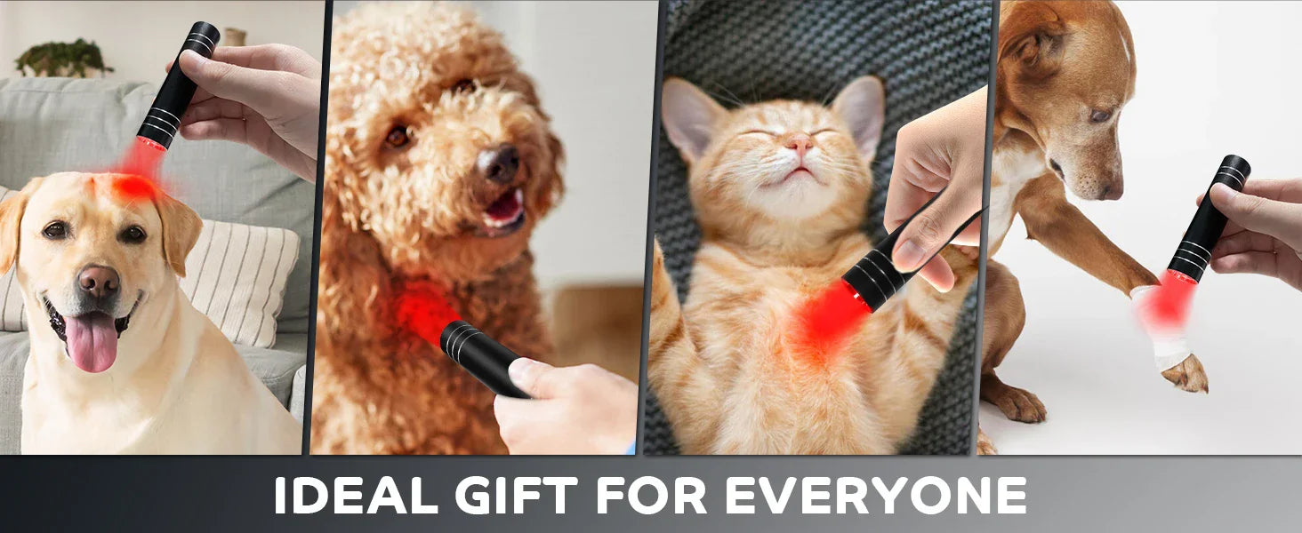 Red Light Therapy Lamp 660nm Red Light & 850nm Infrared Lamp Therapy Torch with Timer Portable LED Small Torch Body Pain Relief