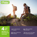 Multivitamin Gummies - with Vitamins and Minerals - Enhances Energy Levels, Immune Support, AntioxidantSupplements